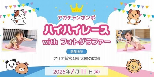 ハイハイレース