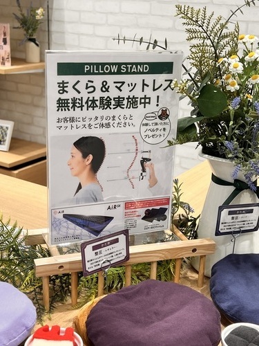 まくら&マットレス無料体験実施中！